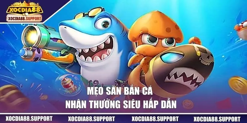 Mẹo săn bắn cá nhận thưởng siêu hấp dẫn